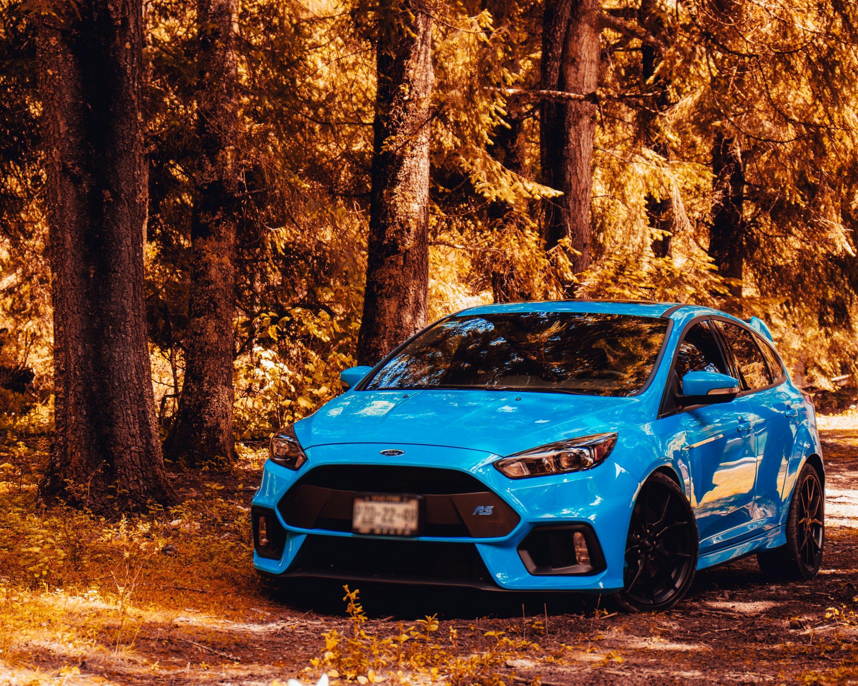 blue Ford 5-door hatchback surrounded by trees